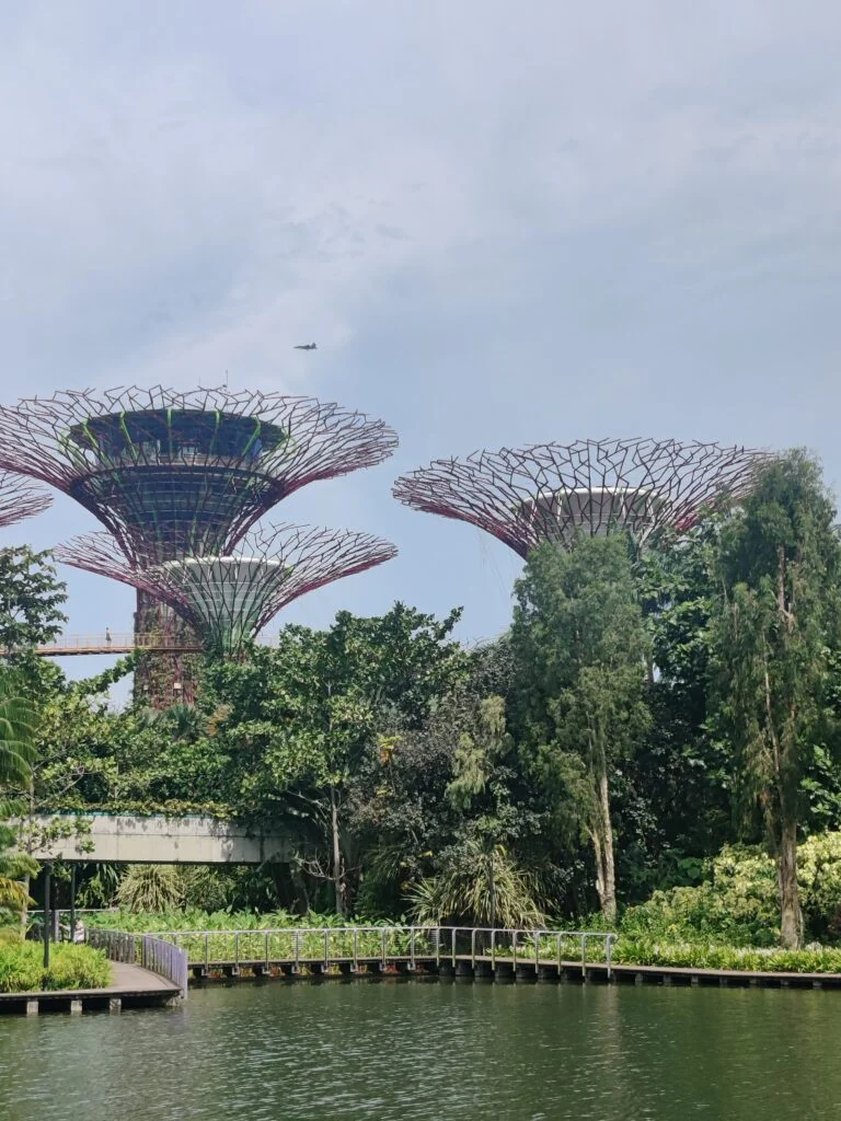 Singapore Gardens by the Bay Supertree Grove, iconic Singapore landmark, Gardens by the Bay attractions, Supertree Grove night view, Singapore skyline garden, futuristic urban garden Singapore, Things to do in Singapore, Travel Singapore