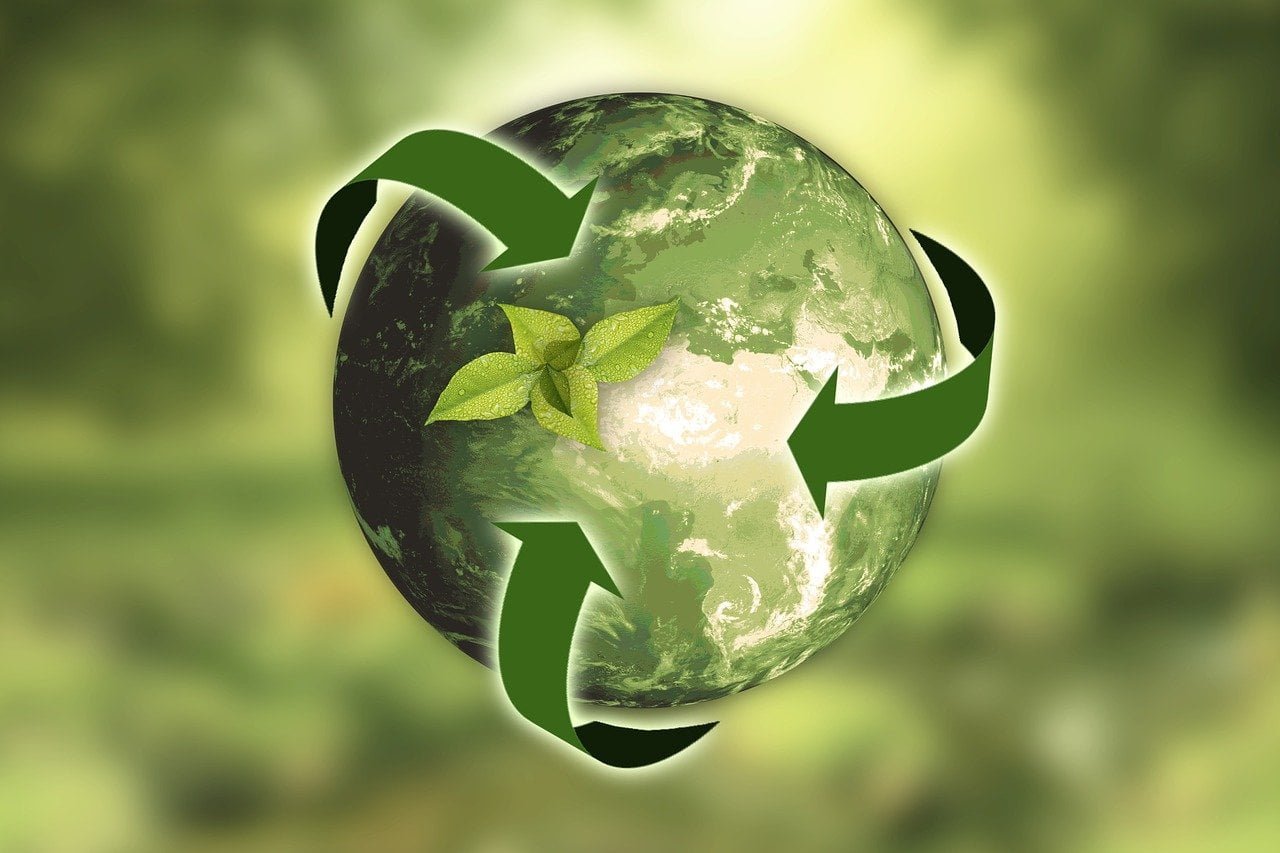What Are Green Startups and Why Are They Important?