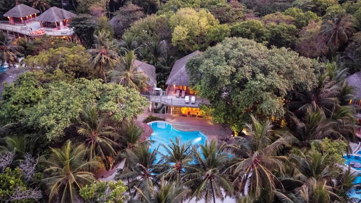 “I hope that in a post-COVID-19 era, we will become more sensitive to nature’s innovations”