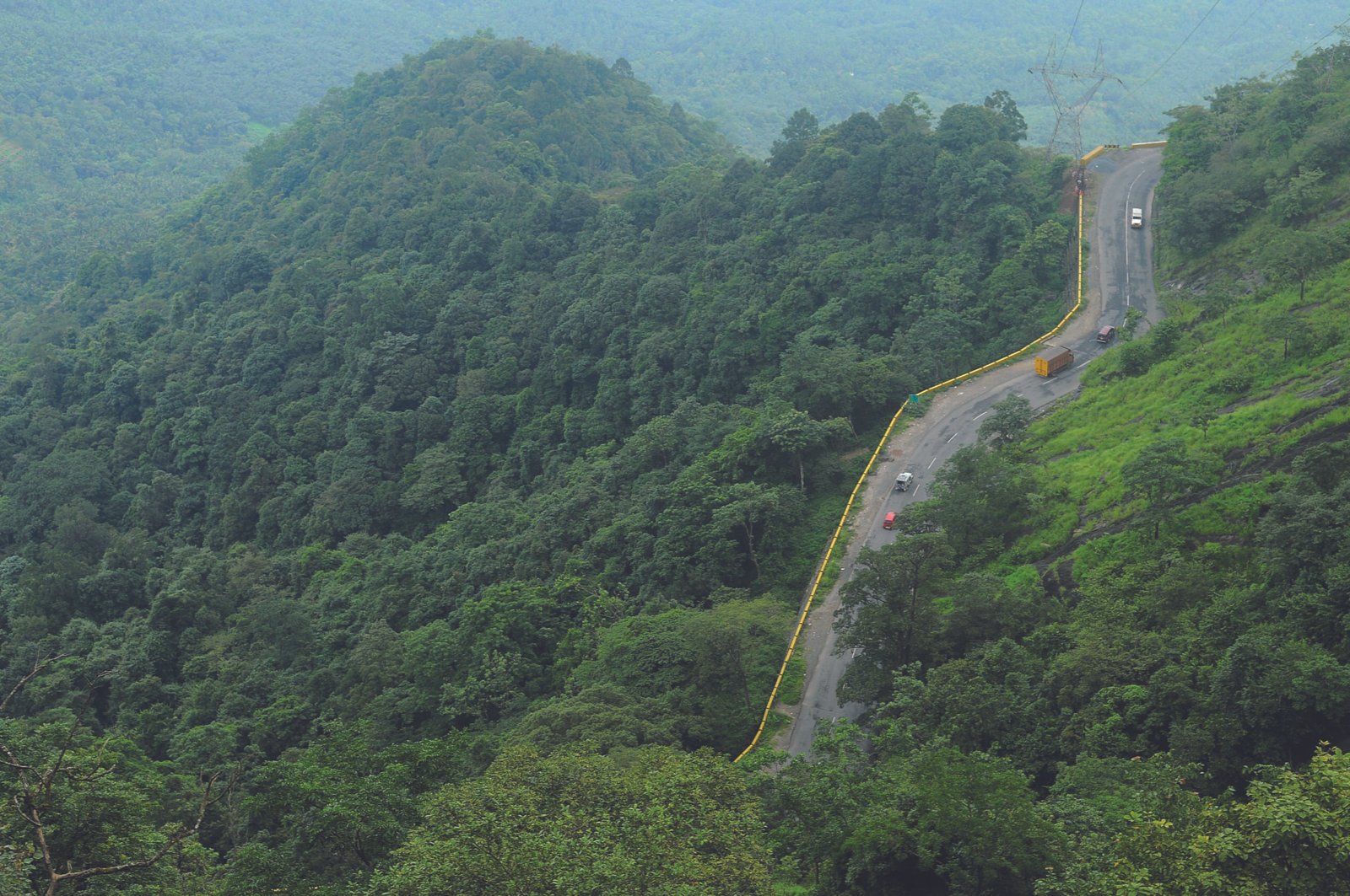 Social media influencers join hands for Wayanad