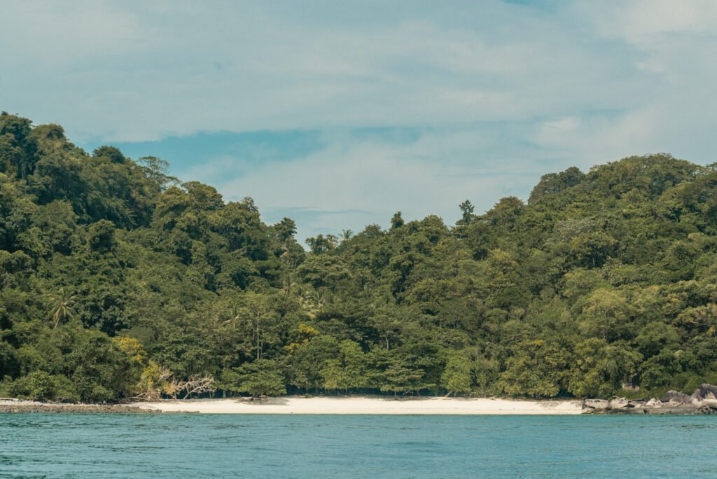 The Boathouse Pulau Tioman beach overview