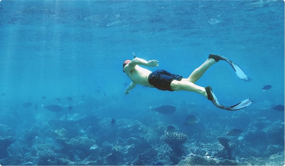 The Boathouse Pulau Tioman snorkelling