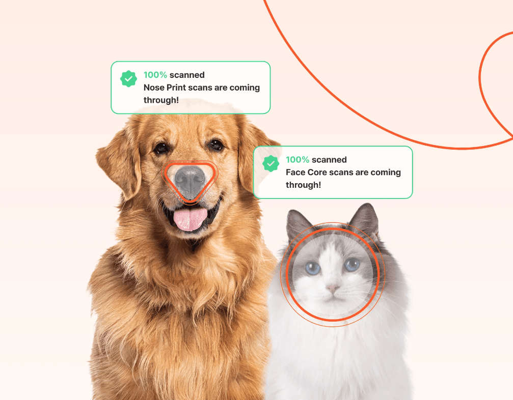 Petnow to Debut in Japan at 2024 CEATEC