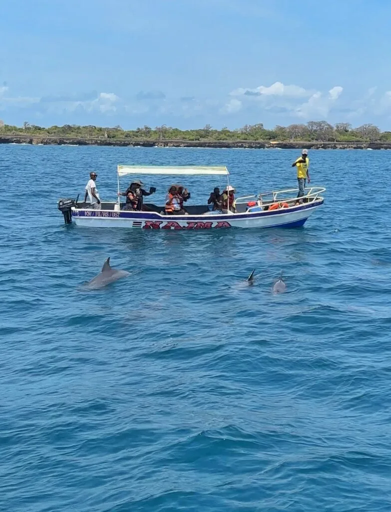 Dolphin watching at Wasini Island. 