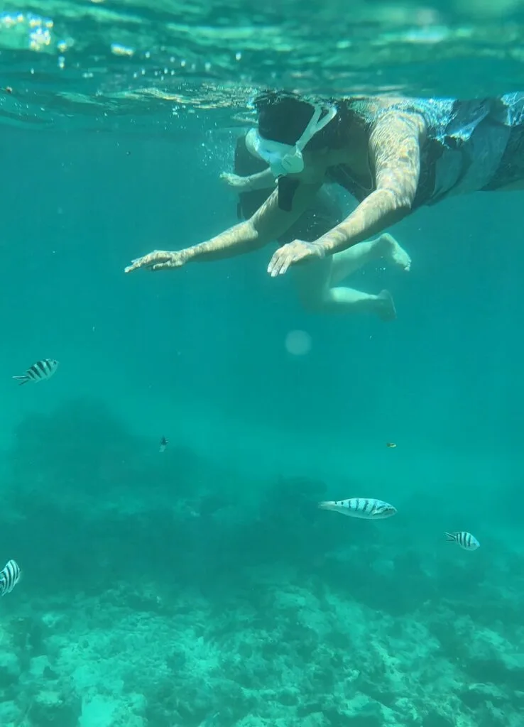 Snorkelling at Kisite-Mpunguti Marine National Park.