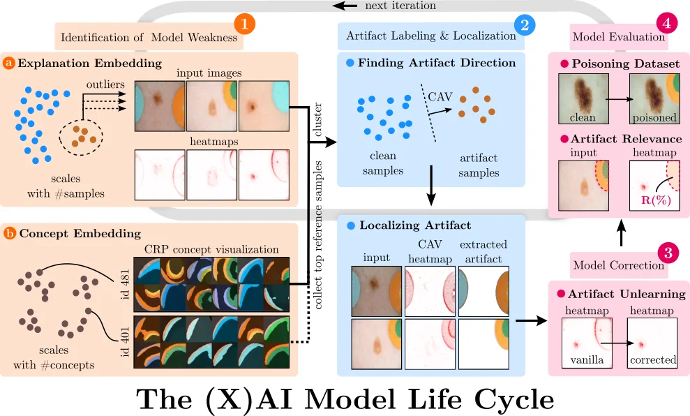 Interaction between the XAI methods developed at Fraunhofer HHI. © Fraunhofer HHI