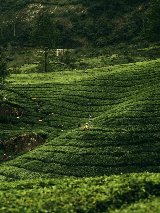 5 BEST HIDDEN GEMS IN SOUTH INDIA