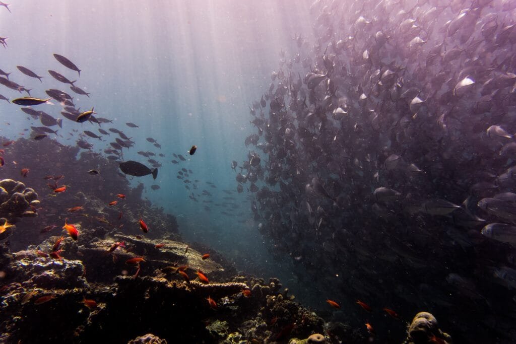 Malaysia Travel Bucket List: Beneath_Sipadan_Island
