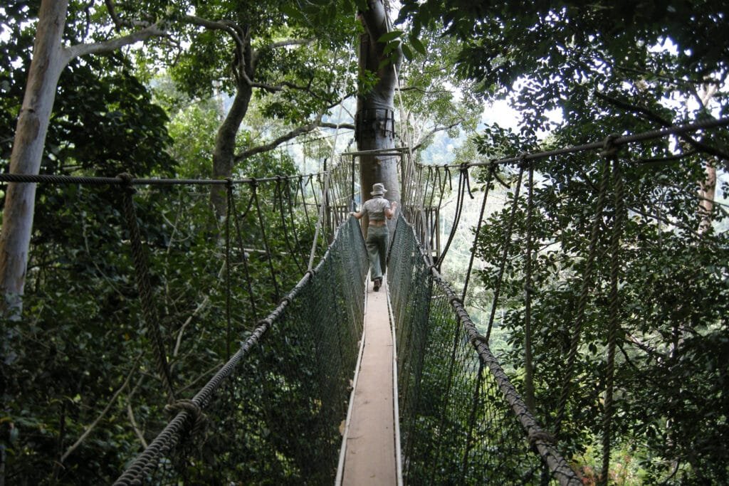 Malaysia Travel Bucket List: Taman Negara