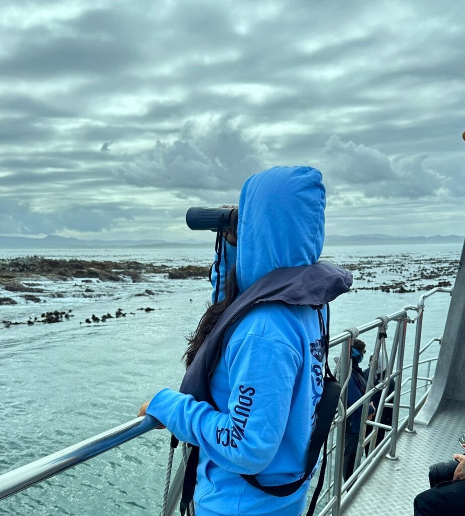 Marine Dynamics Marine Big 5 Tour at Gansbaai