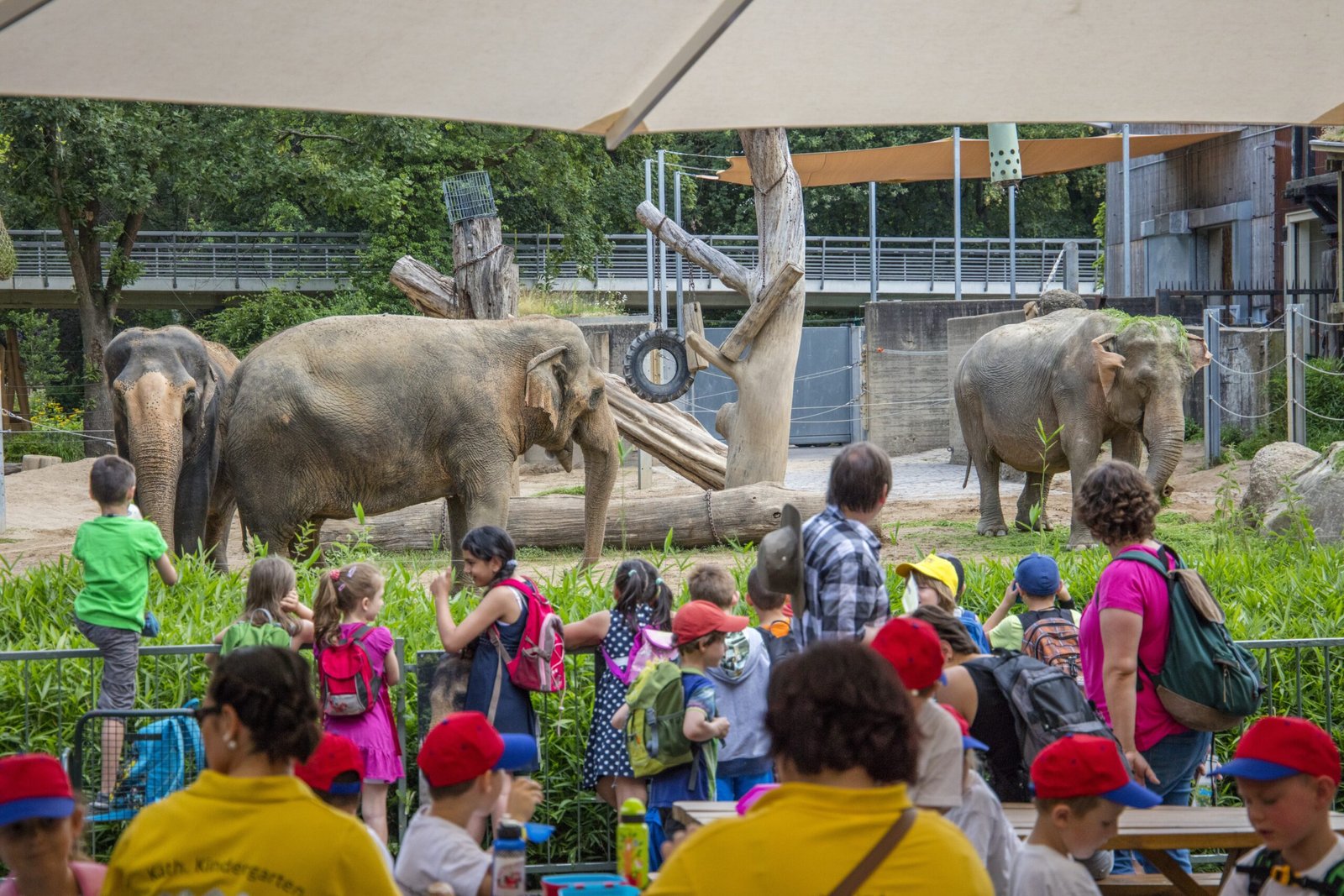 Things to do in Karlsruhe - Zoo