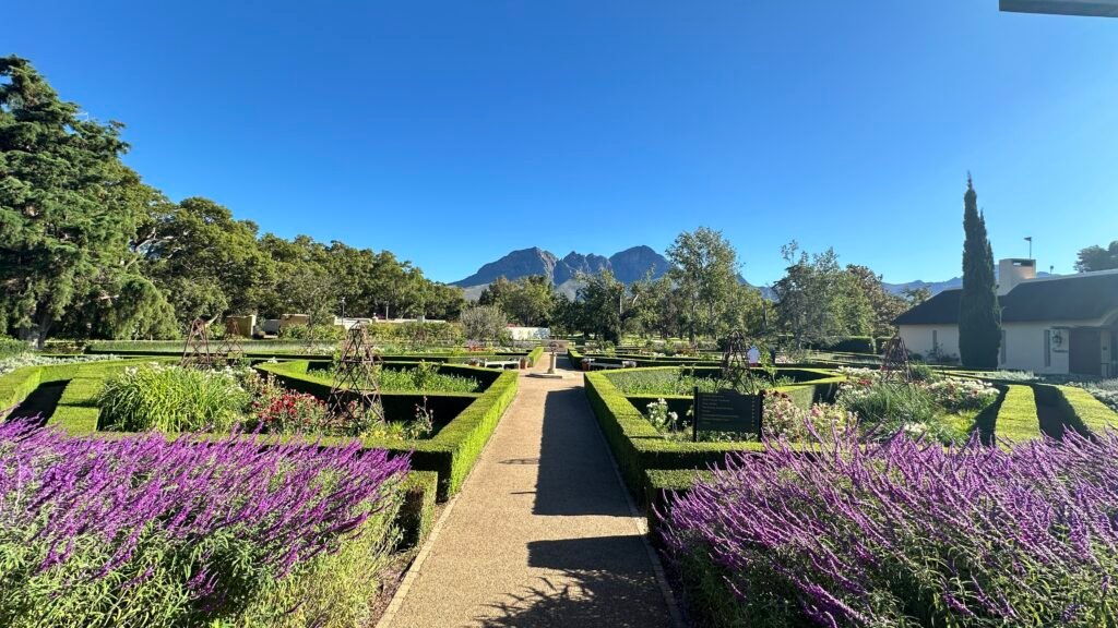 6 Unforgettable Cape Town Experiences: Vergelegen’s Environmental Tour 