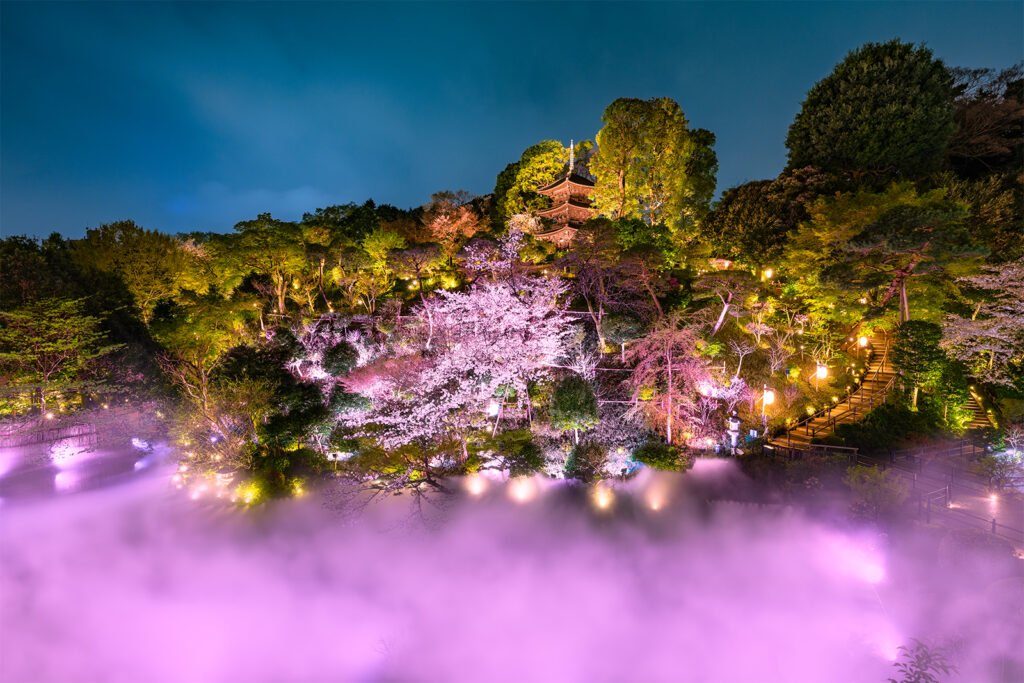 Hotel Chinzanso Tokyo Announces Return of 'Night Sakura Sea of Clouds' Illumination