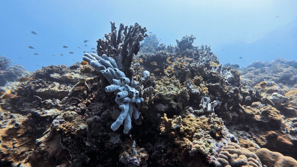 Cebu Welcomes ATF TRAVEX 2026 to Drive the Next Era of Tourism