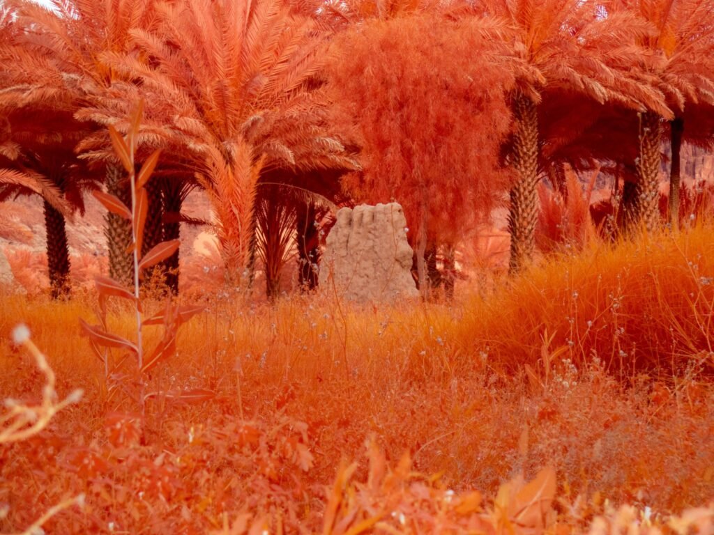 Arduna Contemporary Art Museum in AlUla Unveils Landmark Exhibition Co-Curated With Centre Pompidou