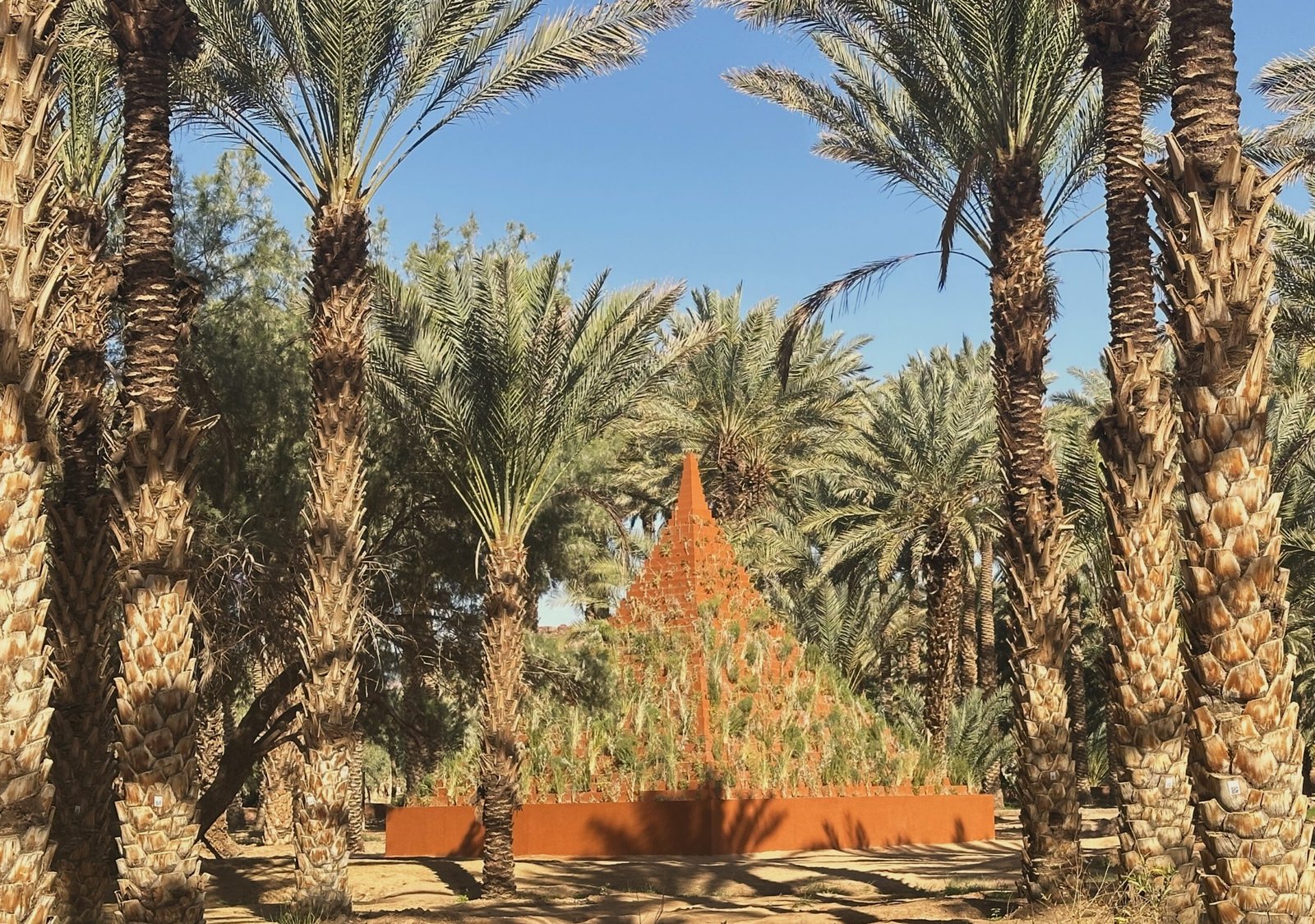 Agnes Denes, The Living Pyramid, Courtesy of Pooja Amritkar