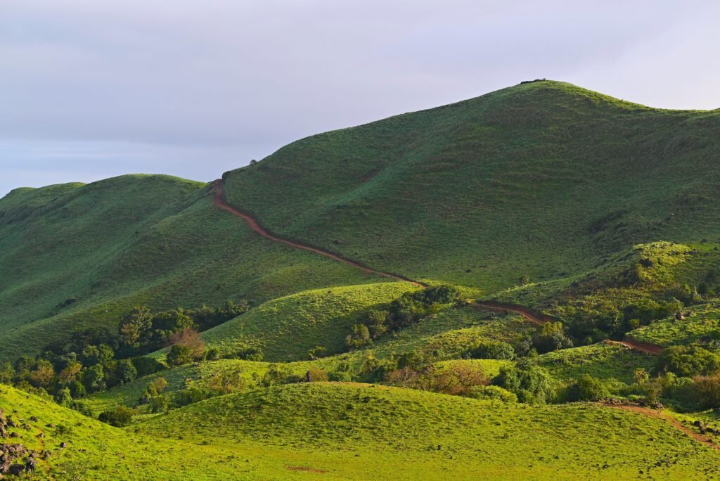 Best Monsoon Road Trips in India. Bengaluru to Coorg — The Coffee Hills Drive. Lush green hills under a clear sky in Madikeri, Karnataka, showcase natural beauty and tranquility.