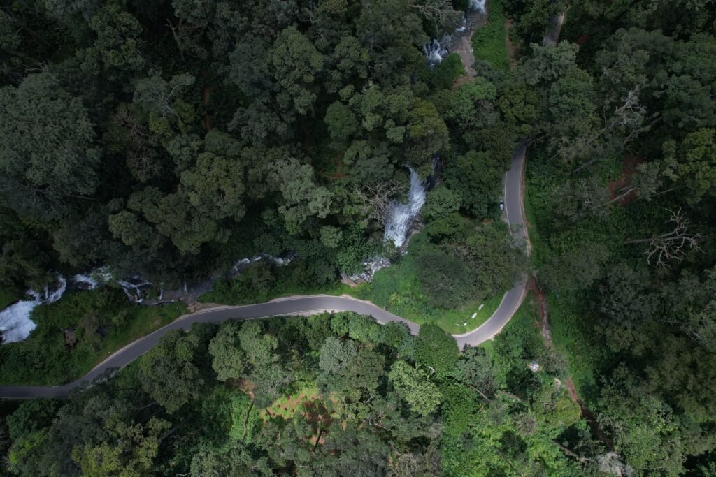 Best Monsoon Road Trips in India. Kochi to Munnar — The Tea Garden Trail. Drone shot capturing a winding road through lush green forest in Kerala, India.